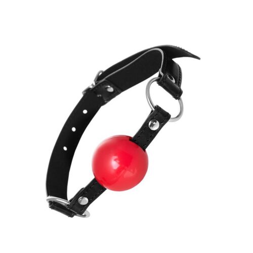 Tajemniczy i zmysłowy knebel Anonymus Gag